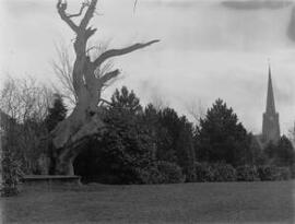 The Church from Bathurst Park, Lydney