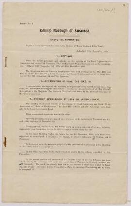 Report from the County Borough of Swansea Executive Committee,