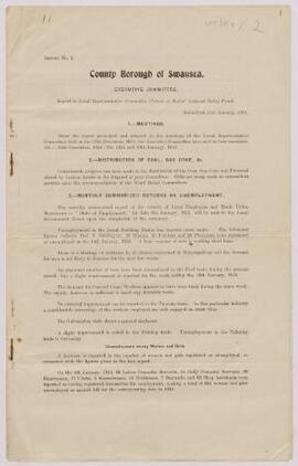 Report from the County Borough of Swansea Executive Committee,